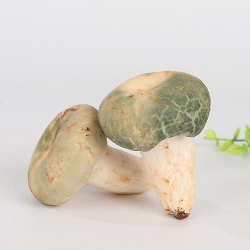 年货产品青头菌新鲜野生菌食用菌蘑菇云南特产鲜菌菇当天采摘1kg